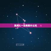 属虎人一生佩戴什么好，属虎的佩戴什么生肖好·