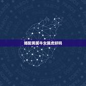 婚配男属牛女属虎好吗，男属牛和女属虎的婚姻是怎样的？