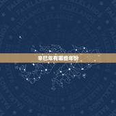辛巳年有哪些年份，辛巳是什么生肖