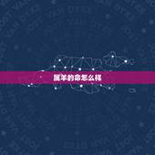 属羊的命怎么样，属蛇的命怎么样