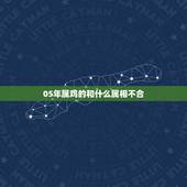 05年属鸡的和什么属相不合，05年属鸡的属于什么命