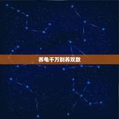 养龟千万别养双数，养龟养单数还是双数好