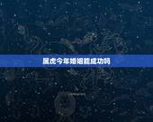 属虎今年婚姻能成功吗，两个都是属虎的！婚姻能长久吗？