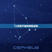 12月狮子座的感情运势，狮子座的感情运势