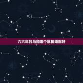 六六年的马和哪个属相婚配好，一九六六年的属马人适合与什么属相婚配比较好