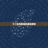 十二生肖属相的最佳婚配，属羊的最佳配偶生肖是什么