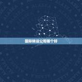 国际转运公司哪个好，美国海淘，用哪个转运公司比较好？