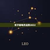 双子座每月运势2022，双子座2021年每月运势