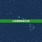 82年属狗的是什么命，1982年属狗未来10年大运