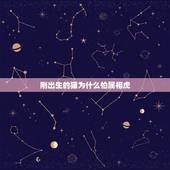刚出生的猫为什么怕属相虎，为什么刚出生的小猫不能见属虎的？