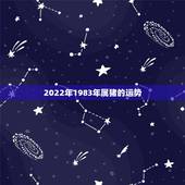 2022年1983年属猪的运势，属猪男1983年在2022男命运势