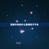 鼠爸牛妈和什么属相孩子不合，牛妈兔爸生个几月的牛宝好？