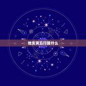 地支寅五行属什么，寅代表什么五行属性