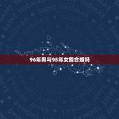 96年男与95年女能合婚吗，95女猪和96男鼠生什么宝宝好