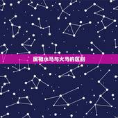属相水马与火马的区别，属马与其他生肖的关系？