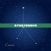 兔子和兔子属相相冲吗，属兔的和什么属相相冲