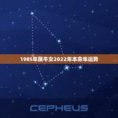 1985年属牛女2022年本命年运势，2021年属牛女全年运势