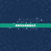 男兔与女龙婚姻状况，男兔女龙相配吗