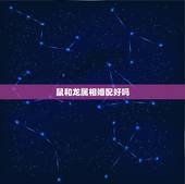 鼠和龙属相婚配好吗，属龙和属鼠相配吗