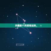 天蝎座11月爱情运势，2022年天蝎座爱情运势