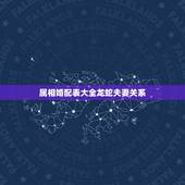 属相婚配表大全龙蛇夫妻关系，龙蛇夫妻生狗生肖好么