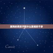 属狗的男孩子配什么属相的干爹，属狗男最易配什么属相