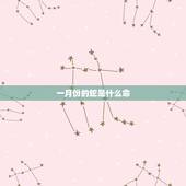 一月份的蛇是什么命，正月蛇不好是说农历还是公历