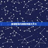 属相蛇和马婚配问题大不大，属相蛇跟什么属相相配