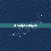 属马和属虎的婚姻如何，1990年属马30岁运气
