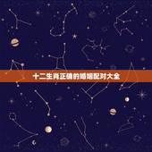 十二生肖正确的婚姻配对大全 生肖婚姻最佳配对表大全