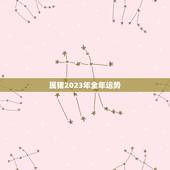 属猪2023年全年运势，属虎2022年运势及运程每月运程