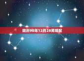 阴历90年12月28男婚配，1990年农历12月28日是属什么的？