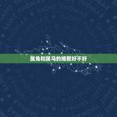 属兔和属马的婚配好不好，属兔人和属龙人能结婚吗