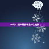 10月27预产期受孕是什么时候，10月27号的预产期，请问我是什么时候