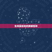 生肖鼠和龙的婚姻怎样，男鼠女龙婚姻状况