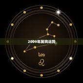 2009年属狗运势，属狗的2009年运程