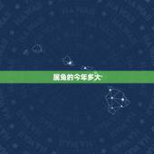 属兔的今年多大，属兔的年龄表2022 虚岁