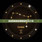 属鼠和属兔的婚姻如何2021年，属鼠和什么属相相克