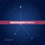 老鼠和老鼠属相合不合2021，2021年生肖鼠的全年运势