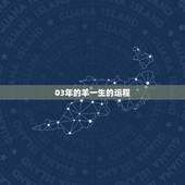03年的羊一生的运程，1979属羊人2022 年全年运势