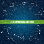 上什么肥料可以让树长得粗，施什么肥料能使树苗的主杆长得粗壮而不要长高。