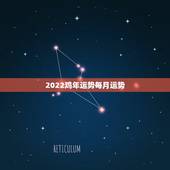 2022鸡年运势每月运势，十二生肖每月运势详解2023
