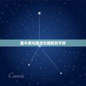 属牛男与属虎女婚配好不好，属虎的女生和属牛的男生相配吗？