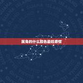 属兔的什么颜色最旺感情，属兔的幸运色是什么颜色？