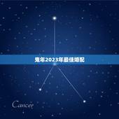 鬼年2023年最佳婚配，乌龟吃什么？我不是太清楚，2023年1月9日之