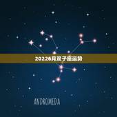 20226月双子座运势，2022 年双子座全年运势