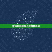 找伴娘在属相上有啥禁忌吗，关于选择伴娘的忌讳？
