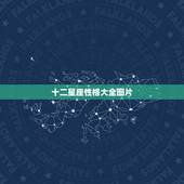 十二星座性格大全图片，12星座性格大全