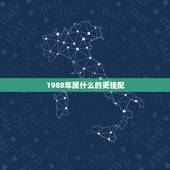 1988年属什么的更佳配，1988年属龙婚姻更佳配偶
