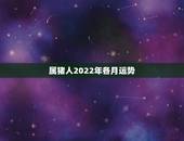 属猪人2022年各月运势，2021年属猪的全年运程